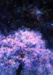 樱花梦