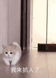 我来了，请捉住