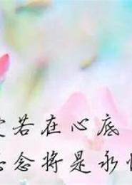 爱似如刀思念