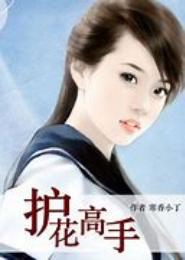 护花高手