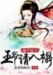袖手惊天：王爷请入榻