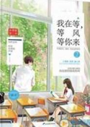 我在等，等风等你来