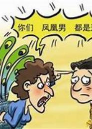 重生家有凤凰男