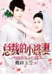 豪门总裁小逃妻