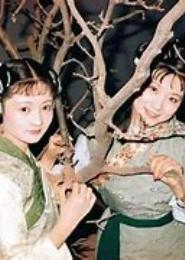 丫环好古怪