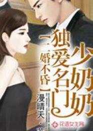 二婚少奶奶