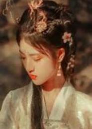 穿越之这个小妾不一般