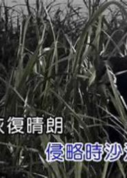 像风一样吹过