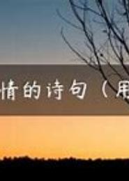 相公，不该对你动了情