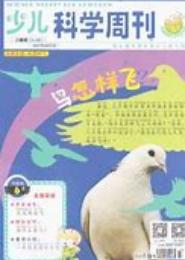 超级全才