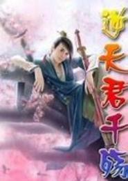 逆天君千殇