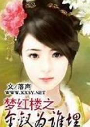 梦红楼之金钗为谁埋
