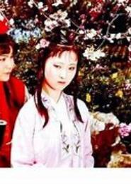 幻黛之红楼情劫