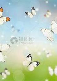 蝴蝶飞过