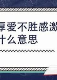情不胜攻