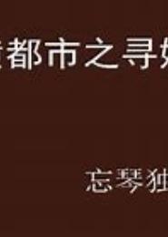 纵横都市之寻娇记
