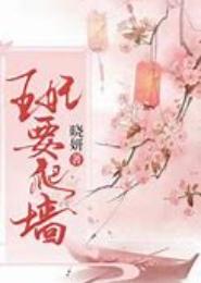 替身王妃要爬墙