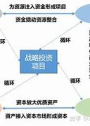 民营企业战略投资的知与行