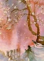 回望桃花尽