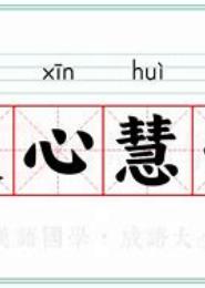 重生灵心慧智