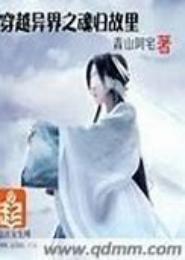 异界之魂