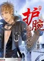 超能宠物护腕