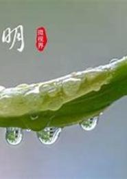 萋萋芳草