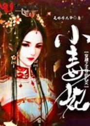 穿越之王爷向我看