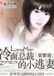 冷面总裁的小逃妻