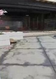 末世生存攻略大全