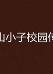 校园传奇公子