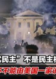 民主不是万能的