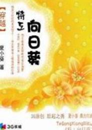 穿越之特工向日葵