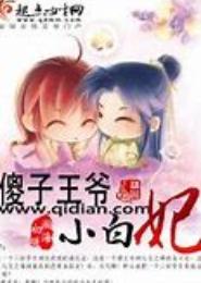 傻子王爷小白妃