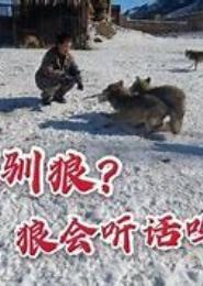 狼惑君心：狼妃，乖乖听话