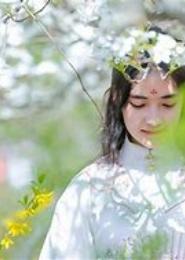 梨花倾城