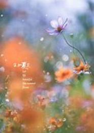 生若夏花