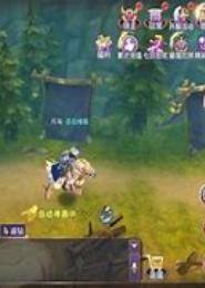 命运契约