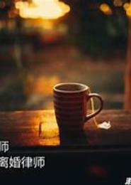 少董的抵债情人