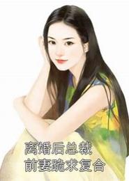 独宠前妻，总裁求复合