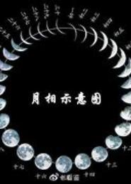 新月逗清光