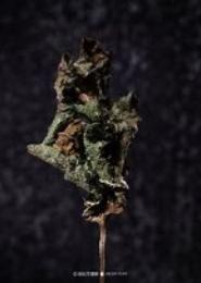 败柳残花
