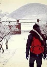 夏日雪之恋歌