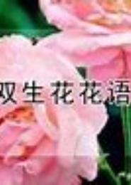 双生若是不为花