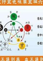 五常传
