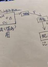 那些走失的记忆