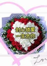 锁心之恋