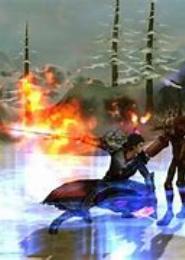 武意