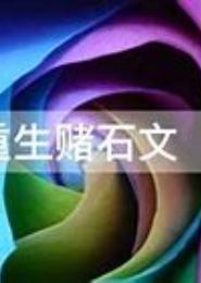 重生赌石界