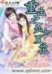 重生之灿如夏花